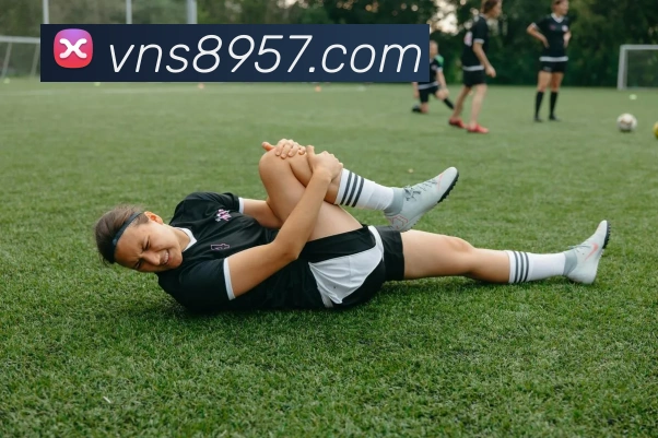 威尼斯人娱乐官网服务体系